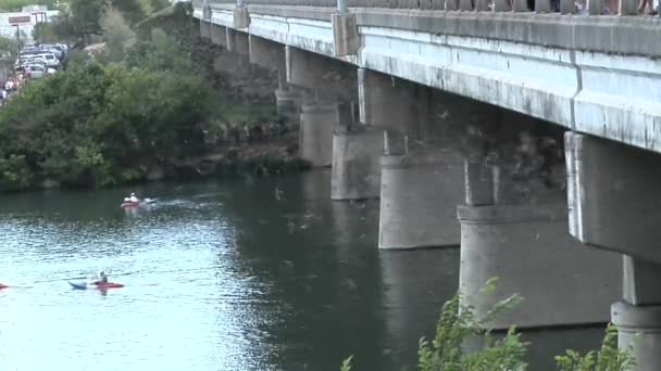 Murciélagos bajo el puente de la Avenida del Congreso en Austin, Texas — Vídeo de stock