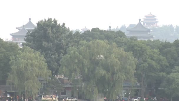 Beijing Skyline con árboles — Vídeo de stock