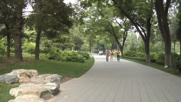 Forbidden City Grounds in Beijing, China — Stock Video