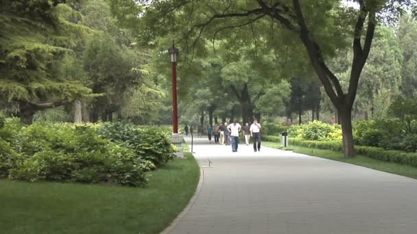 Сад Забороненого міста в Пекіні, Китай — стокове відео