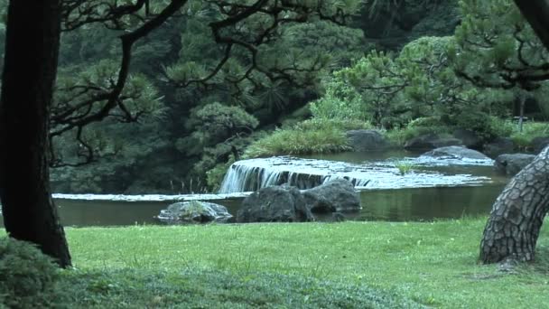 传统的日本花园和景观 — 图库视频影像