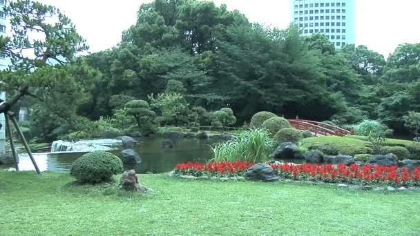 Jardim tradicional japonês e paisagem — Vídeo de Stock