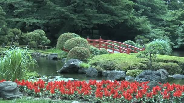 Traditionella japanska trädgården och landskap — Stockvideo