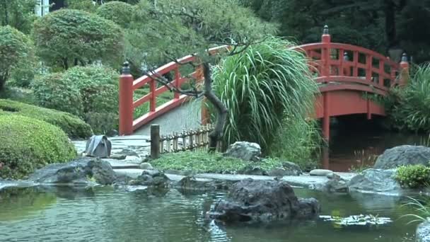 Традиционный японский сад и пейзаж — стоковое видео