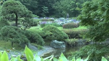 Imperial Bahçe Tokyo Japonya