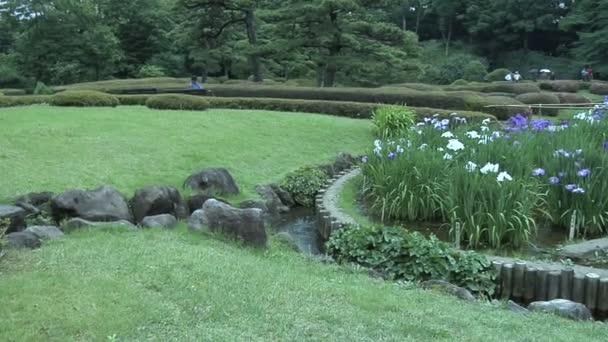 Imperial Garden in Tokyo Japan — Stock Video
