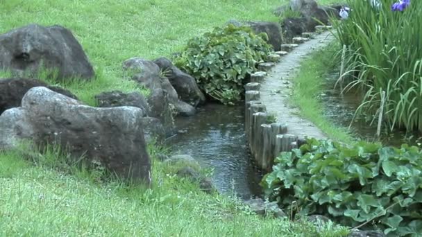 Jardim Imperial em Tóquio Japão — Vídeo de Stock