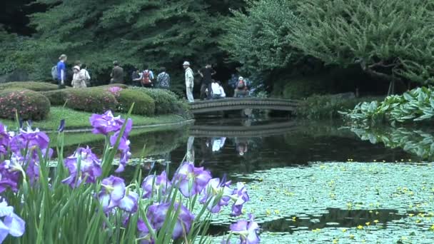 Keizerlijke tuin in Tokio — Stockvideo