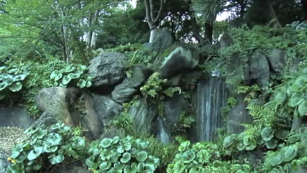 Kaiserlicher garten in tokyo japan — Stockvideo