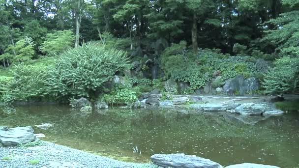 Imperial Garden in Tokyo Japan — Stock Video