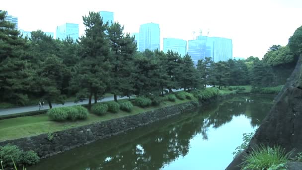 Imperial Garden in Tokyo Japan — Stock Video