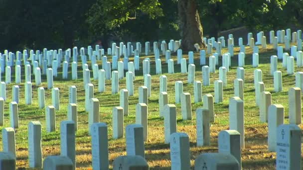 Cementerio Nacional de Arlington Virginia — Vídeos de Stock