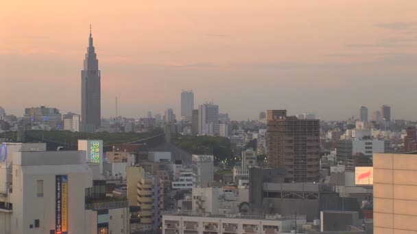 Downtown Tokyo Skyline at Sunset — Stock Video