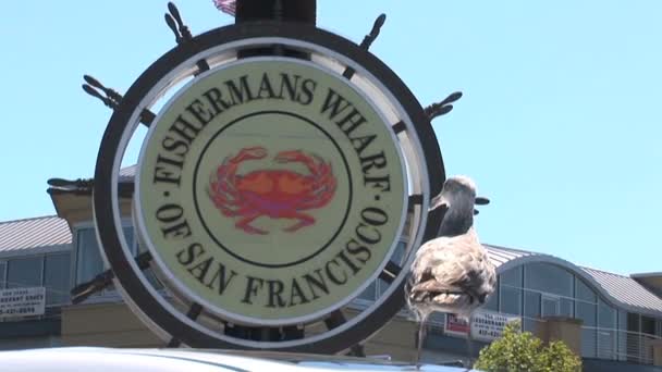 Fishermans Wharf em São Francisco — Vídeo de Stock