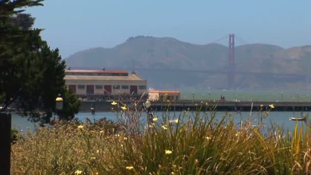 Aquatic Park In San Francisco met de Golden Gate Bridge in de achtergrond — Stockvideo