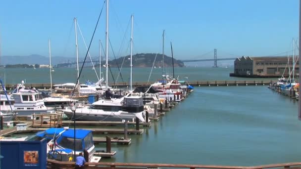 Λιμάνι στο San Francisco Bay — Αρχείο Βίντεο