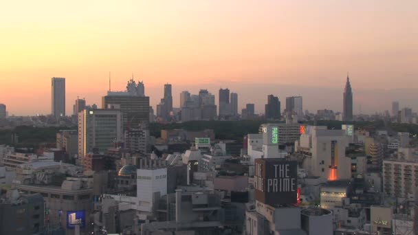 Şehir Merkezi Tokyo siluetinin gün batımında — Stok video