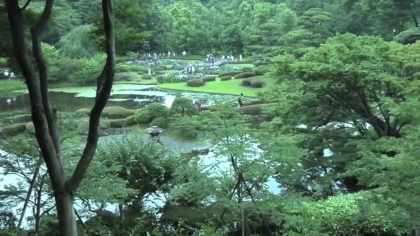 Keizerlijke tuin in Tokio, Japan — Stockvideo