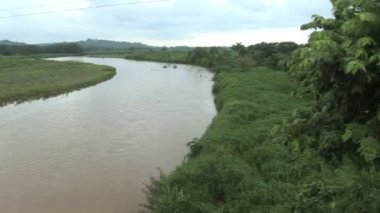 Tropikal yağmur ormanlarında nehrin karşısındaki pan