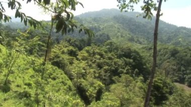 Dağlar vadi ve nehir tropikal yağmur ormanlarında