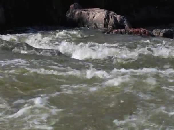 Vodní Rapids