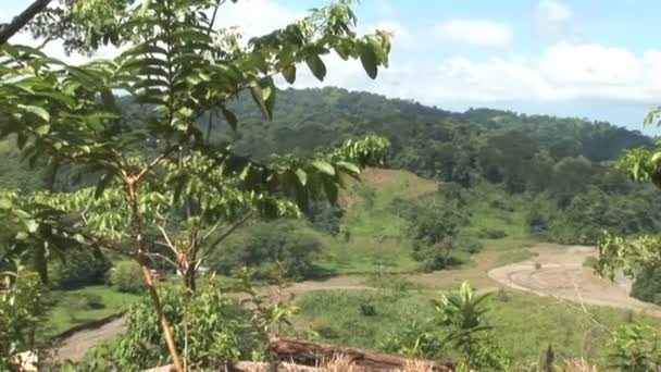 Valle en un Bosque Lluvioso Tropical — Vídeo de stock