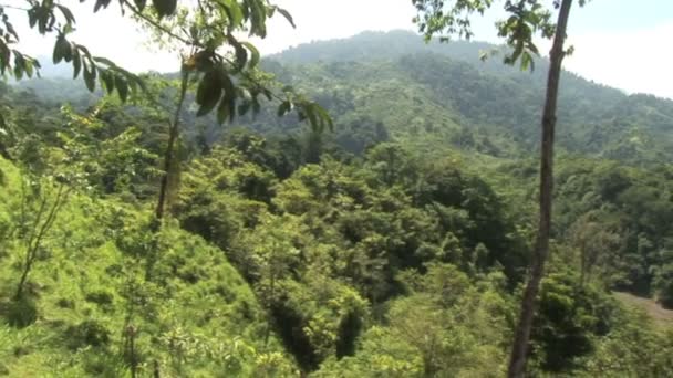 Valle de las Montañas y Río en una Selva Tropical — Vídeos de Stock