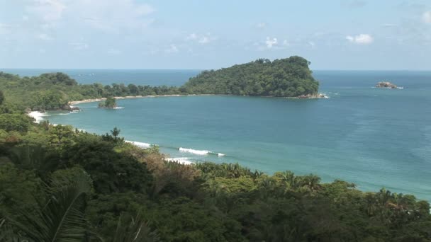 Foresta pluviale tropicale lungo una spiaggia di sabbia — Video Stock