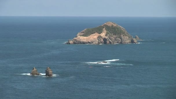 Floresta tropical ao longo de uma praia de areia — Vídeo de Stock