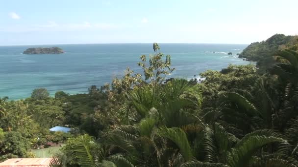 Selva tropical a lo largo de una playa de arena — Vídeo de stock