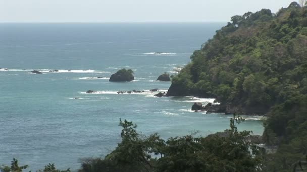 Floresta tropical ao longo de uma praia de areia — Vídeo de Stock