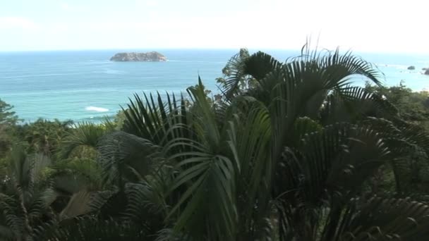Forêt tropicale humide le long d'une plage de sable 