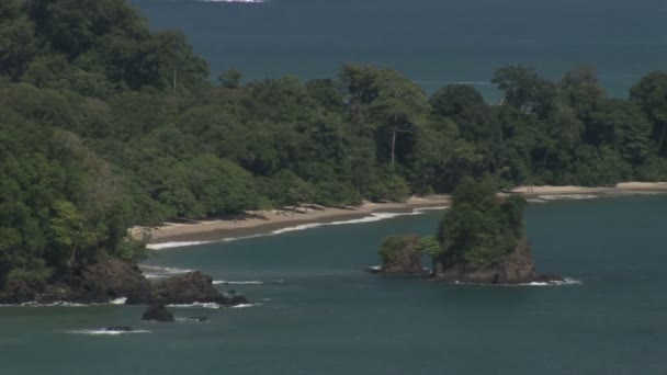 热带的雨林，沿中快速运动的沙滩 — 图库视频影像