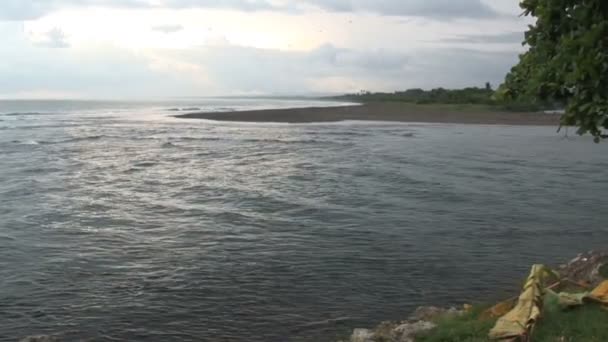 Regenwoud langs een zandstrand — Stockvideo