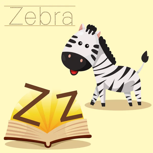 Illustratore di Z per il vocabolario Zebra — Vettoriale Stock
