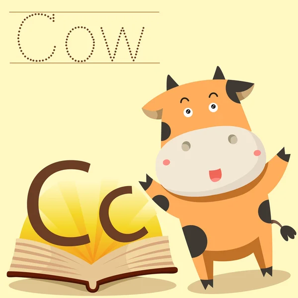 Illustrator of c for cow vocabulary — Stock Vector