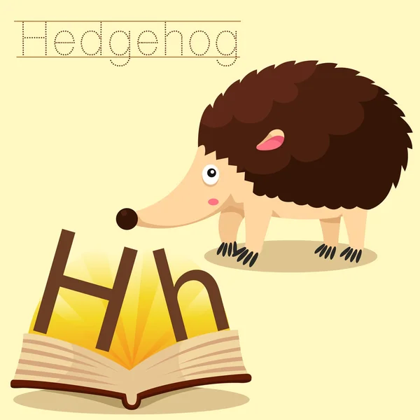 Ilustrasi h untuk kosakata Hedgehog - Stok Vektor