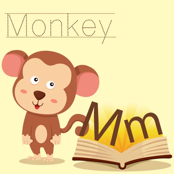 Ilustrador de m para vocabulário de macaco — Vetor de Stock
