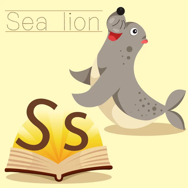 Illustrateur de vocabulaire s pour otaries — Image vectorielle