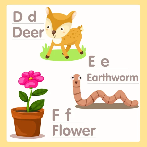 Illustrator of D E F with alphabet deer earthworm and flower — Stock Vector