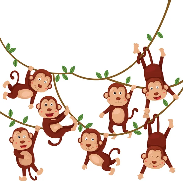 Illustratore di scimmie divertente cartone animato — Vettoriale Stock