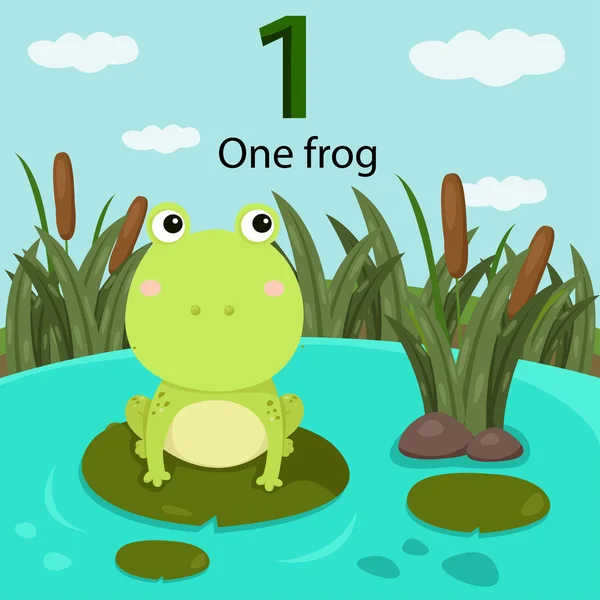 Bir kurbağa ile Illustrator