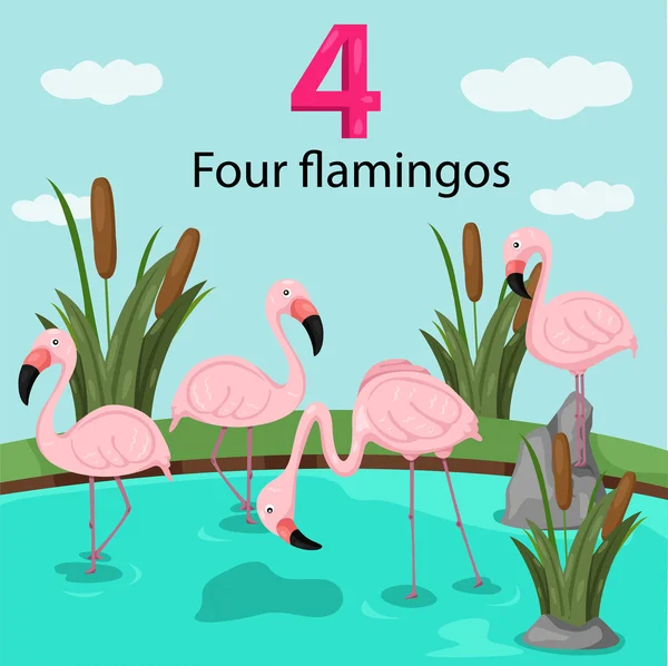 Illustrator of number four with flamingos — Stock Vector