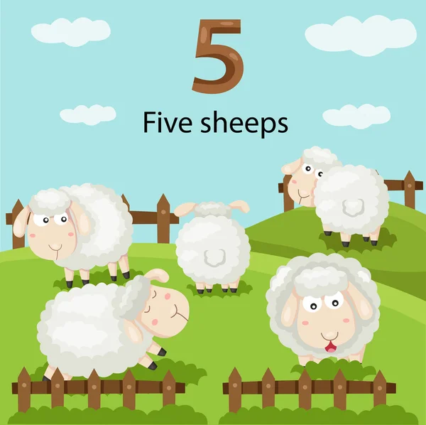 Illustrator of number five sheeps — Stock Vector