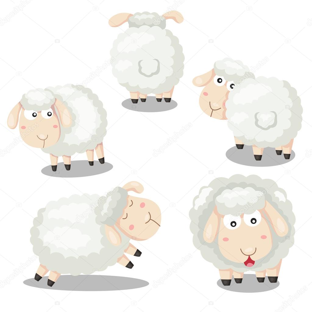 Illustrator of sheep funny cartoon