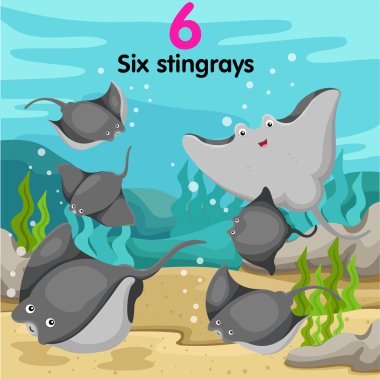 Altı numaralı stingrays Illustrator