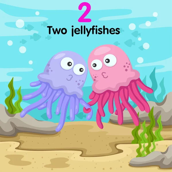 İki numaralı jellyfishes Illustrator — Stok Vektör