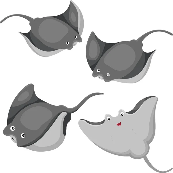 Illustrator Stingrays