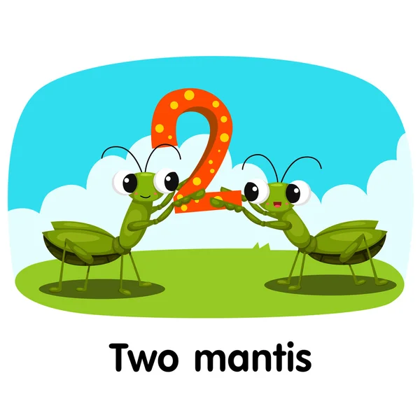 Ilustrador de mantis número dois —  Vetores de Stock