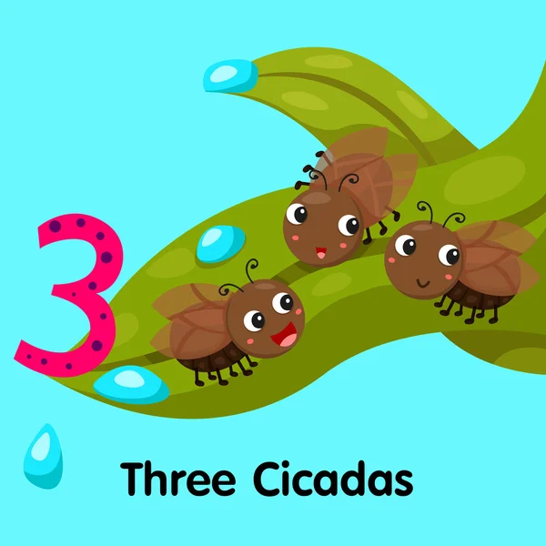 Üç numaralı ağustosböcekleri Illustrator